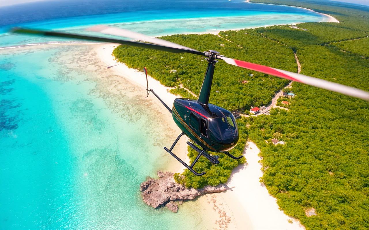 Tour en helicóptero